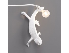 Chameleon Lamp Going Down